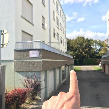 Studio T A 5Mn Euro Airport Avec Terrasse Saint-Louis  Dış mekan fotoğraf