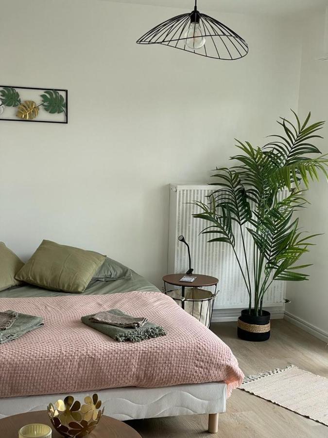 Studio T A 5Mn Euro Airport Avec Terrasse Saint-Louis  Dış mekan fotoğraf