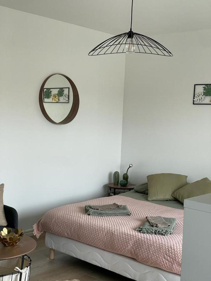 Studio T A 5Mn Euro Airport Avec Terrasse Saint-Louis  Dış mekan fotoğraf