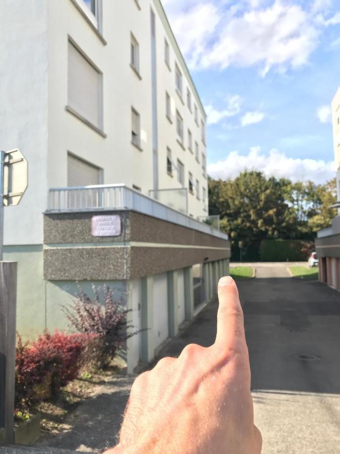 Studio T A 5Mn Euro Airport Avec Terrasse Saint-Louis  Dış mekan fotoğraf